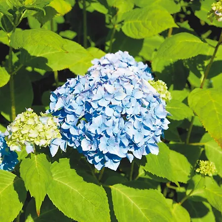 East Side Von & Mehr *